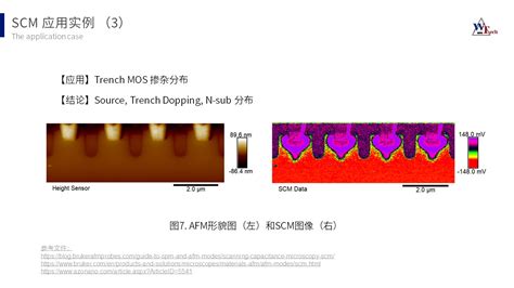 scm分析|表面分析 (SA)